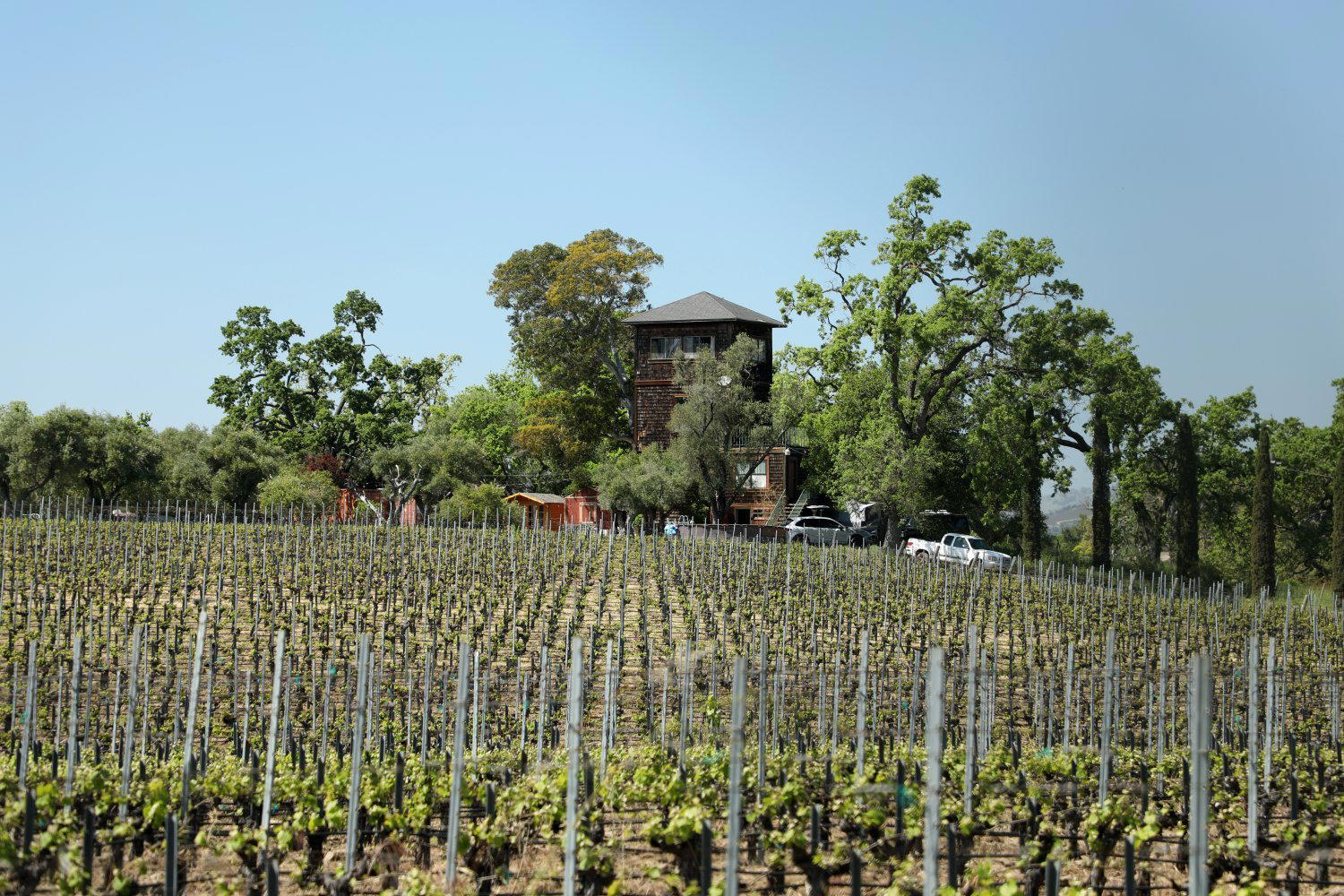 Beaucanon Estate winery in St. Helena, United States
