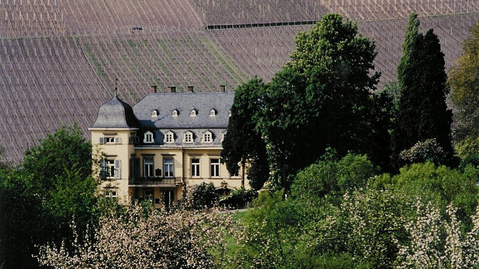 Weingut Egon Müller winery in Wiltingen