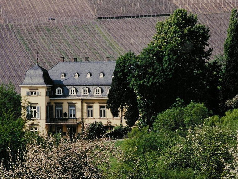 Weingut Egon Müller, Wiltingen, Germany
