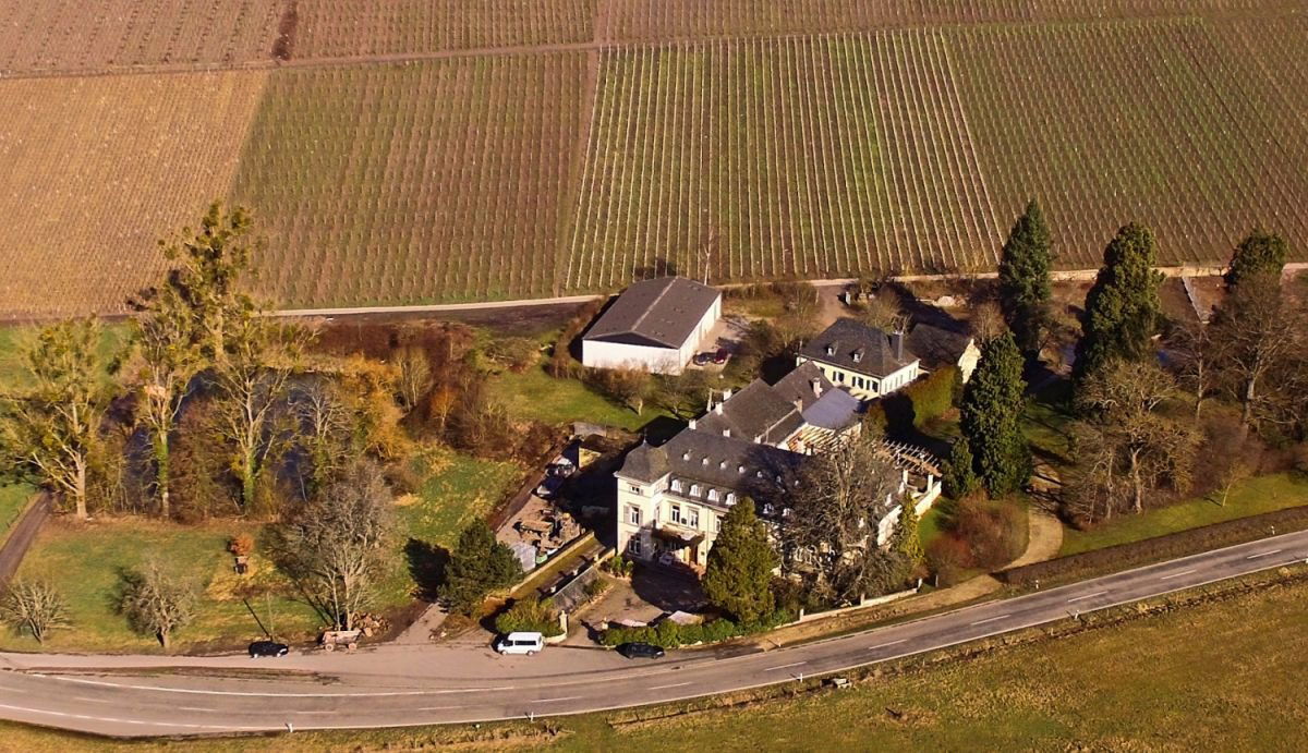 Weingut Egon Müller, Winery in Wiltingen