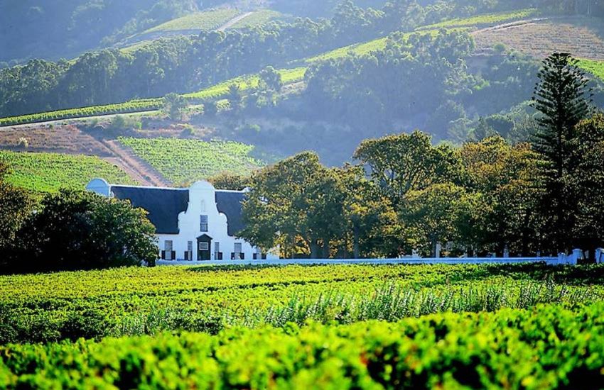 Klein Constantia Wine Estate winery in Constantia, South Africa