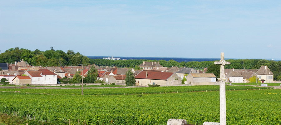 Domaine de Courcel, Winery in Pommard