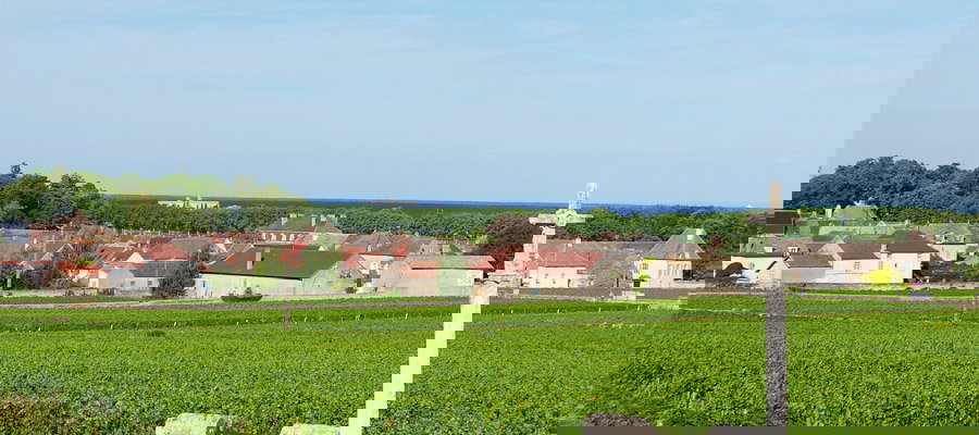 Domaine de Courcel winery in Pommard, France