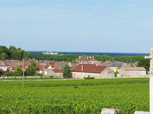 Domaine de Courcel, Pommard, France