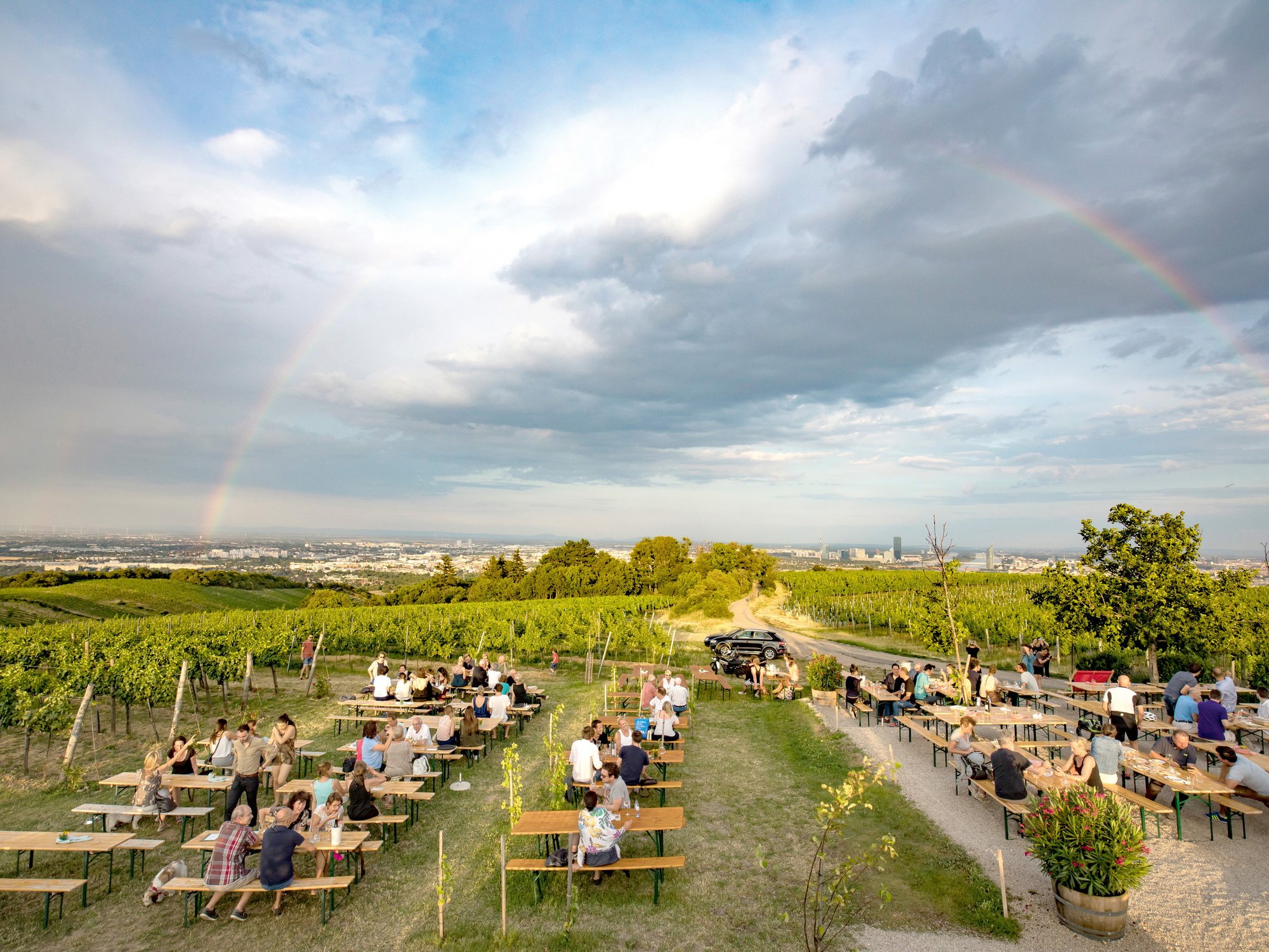 Weingut Walter Wien Distillery winery in Vienna, Austria