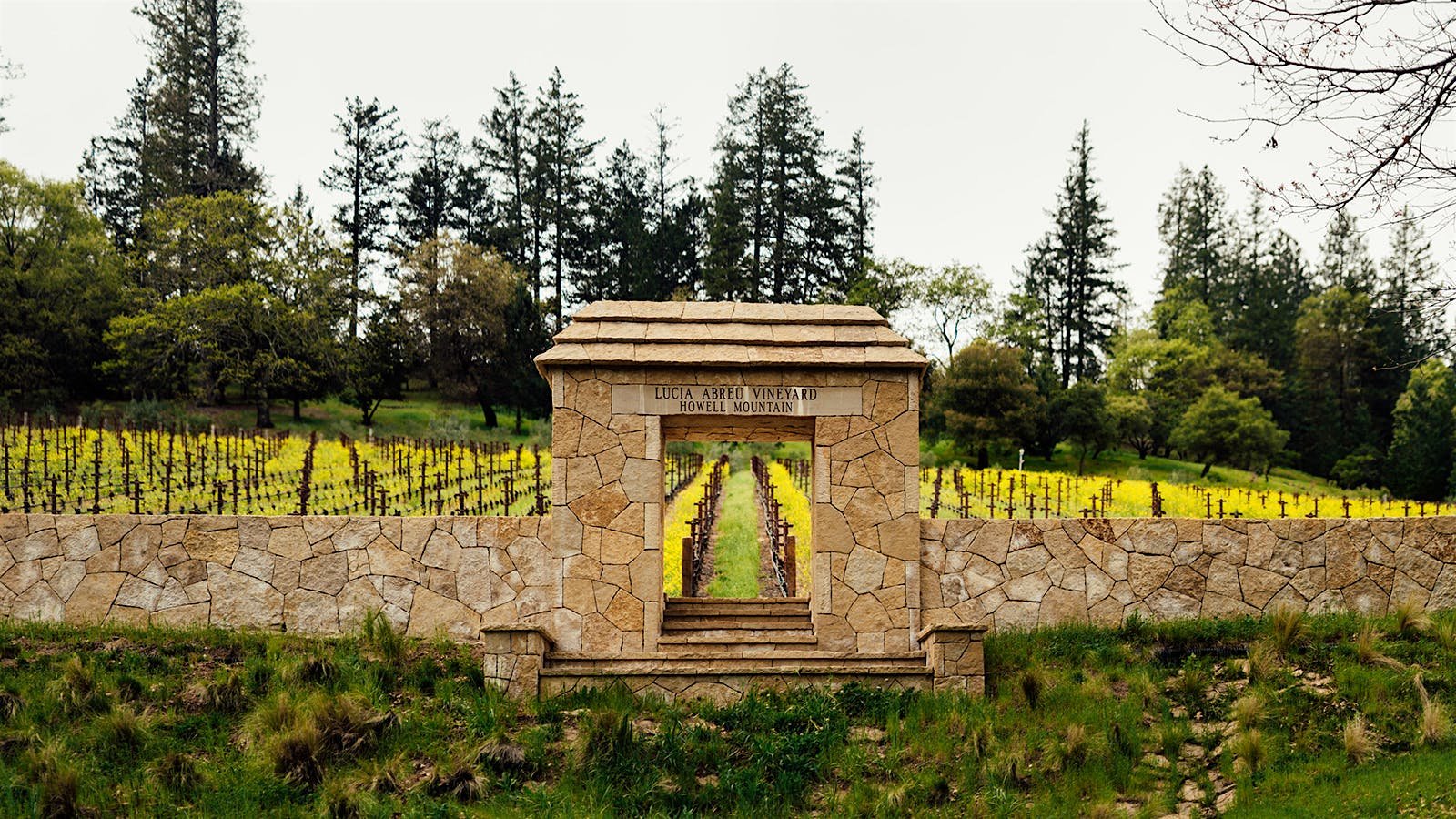Abreu Vineyards winery in St. Helena, United States