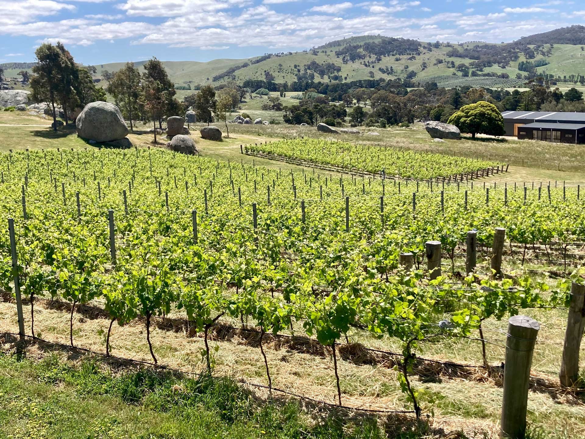 Syrahmi winery in Heathcote, Australia