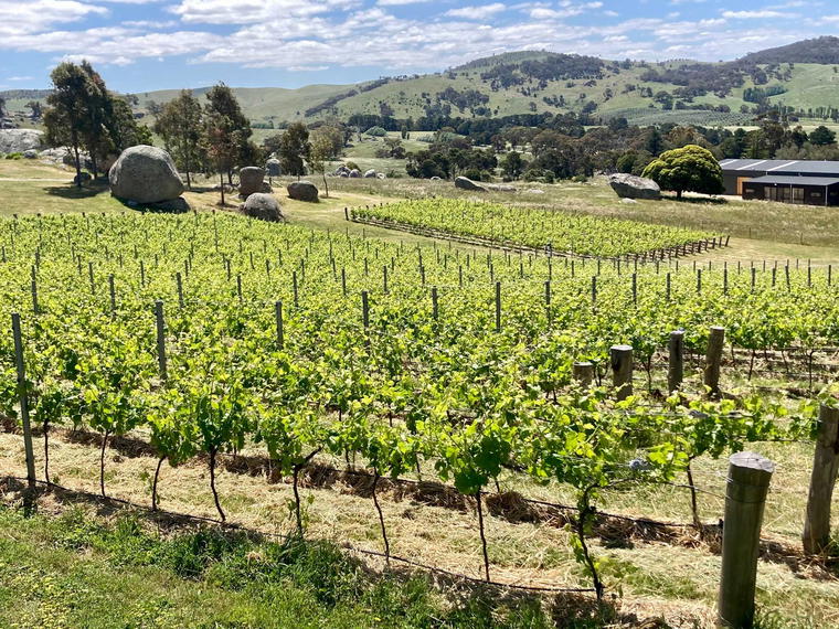 Syrahmi, Heathcote, Australia