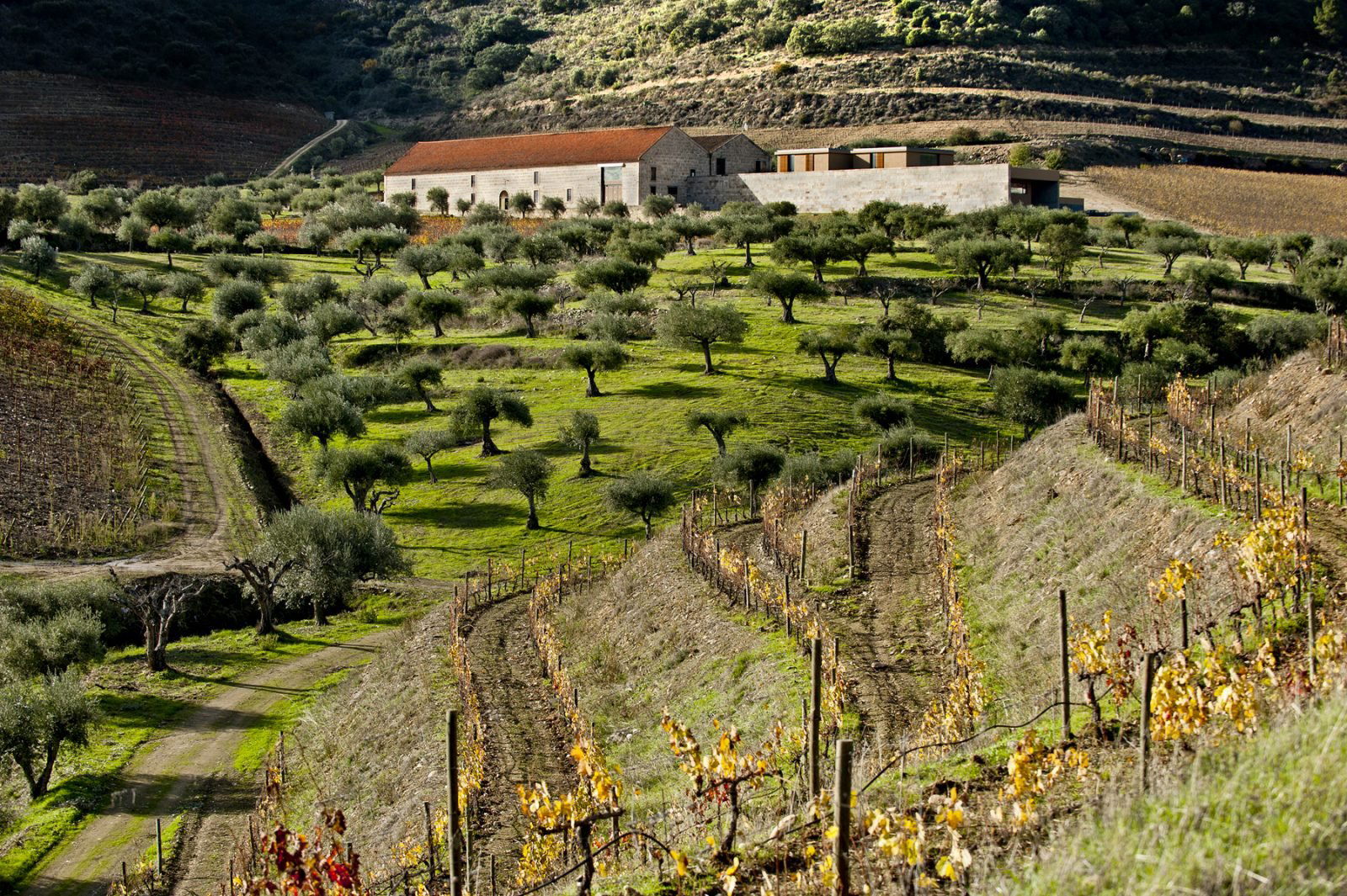 Quinta do Vale Meão, Winery in Vila Nova de Foz Côa