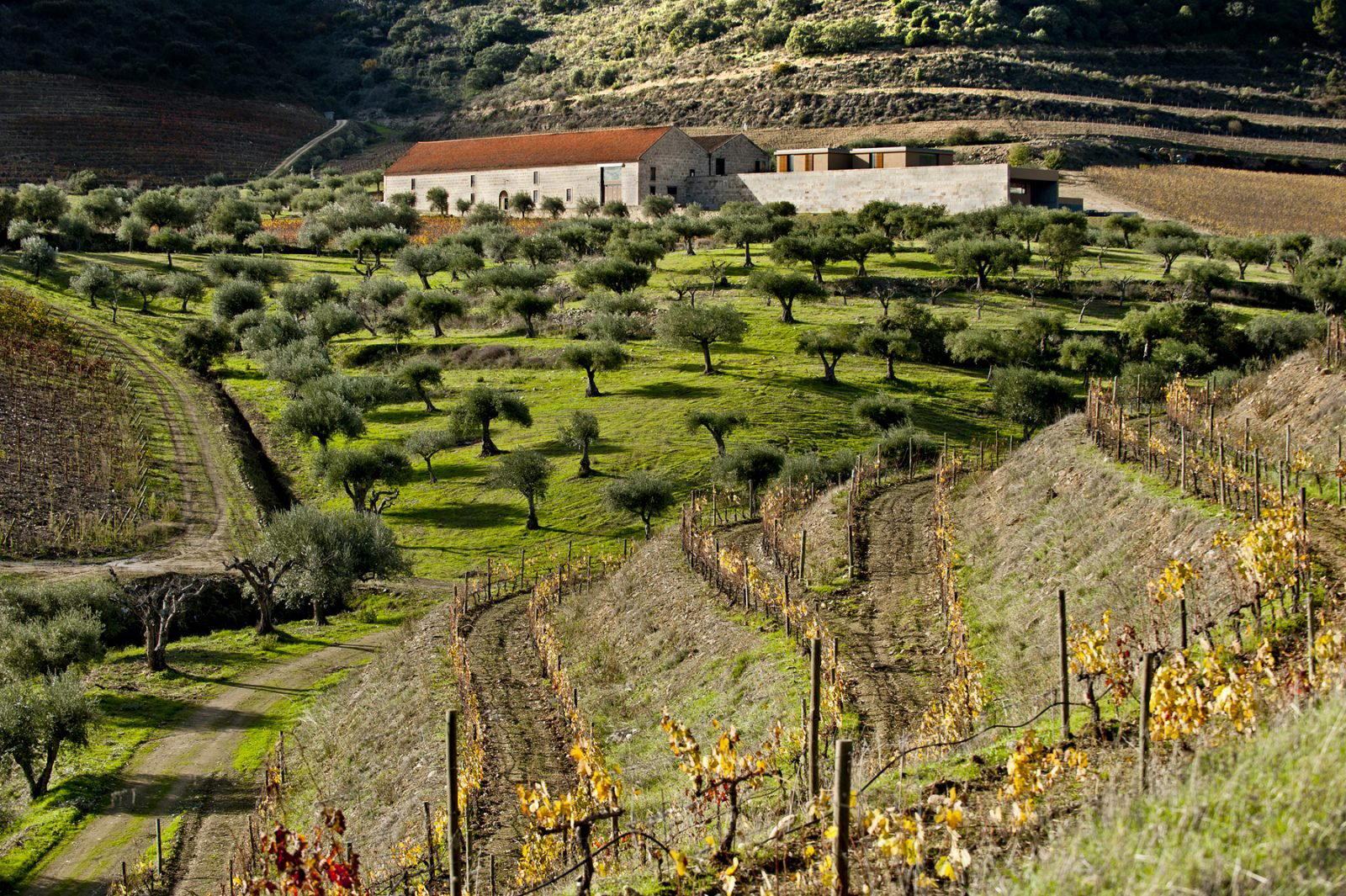Quinta do Vale Meão winery in Vila Nova de Foz Côa
