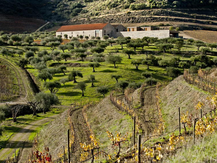 Quinta do Vale Meão, Vila Nova de Foz Côa, Portugal