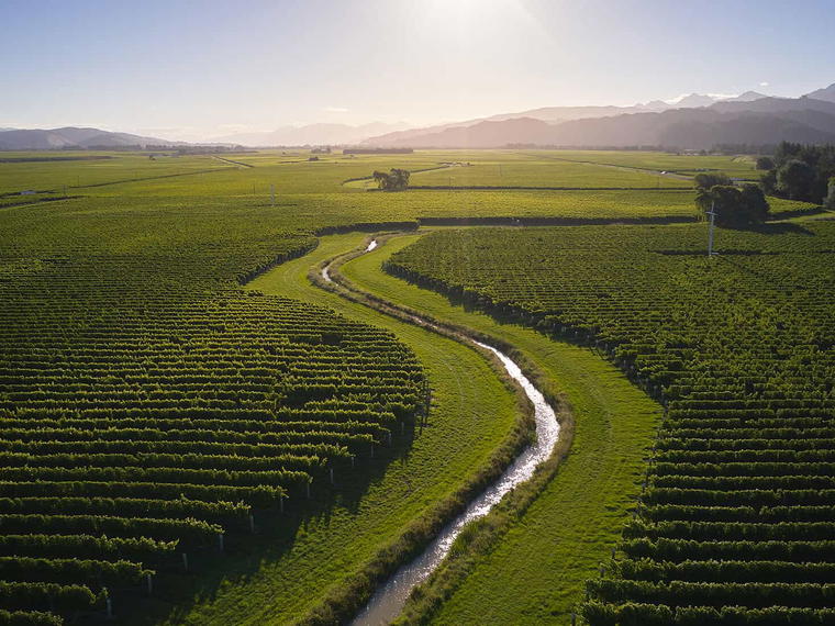 Cloudy Bay Vineyards, Blenheim, New Zealand