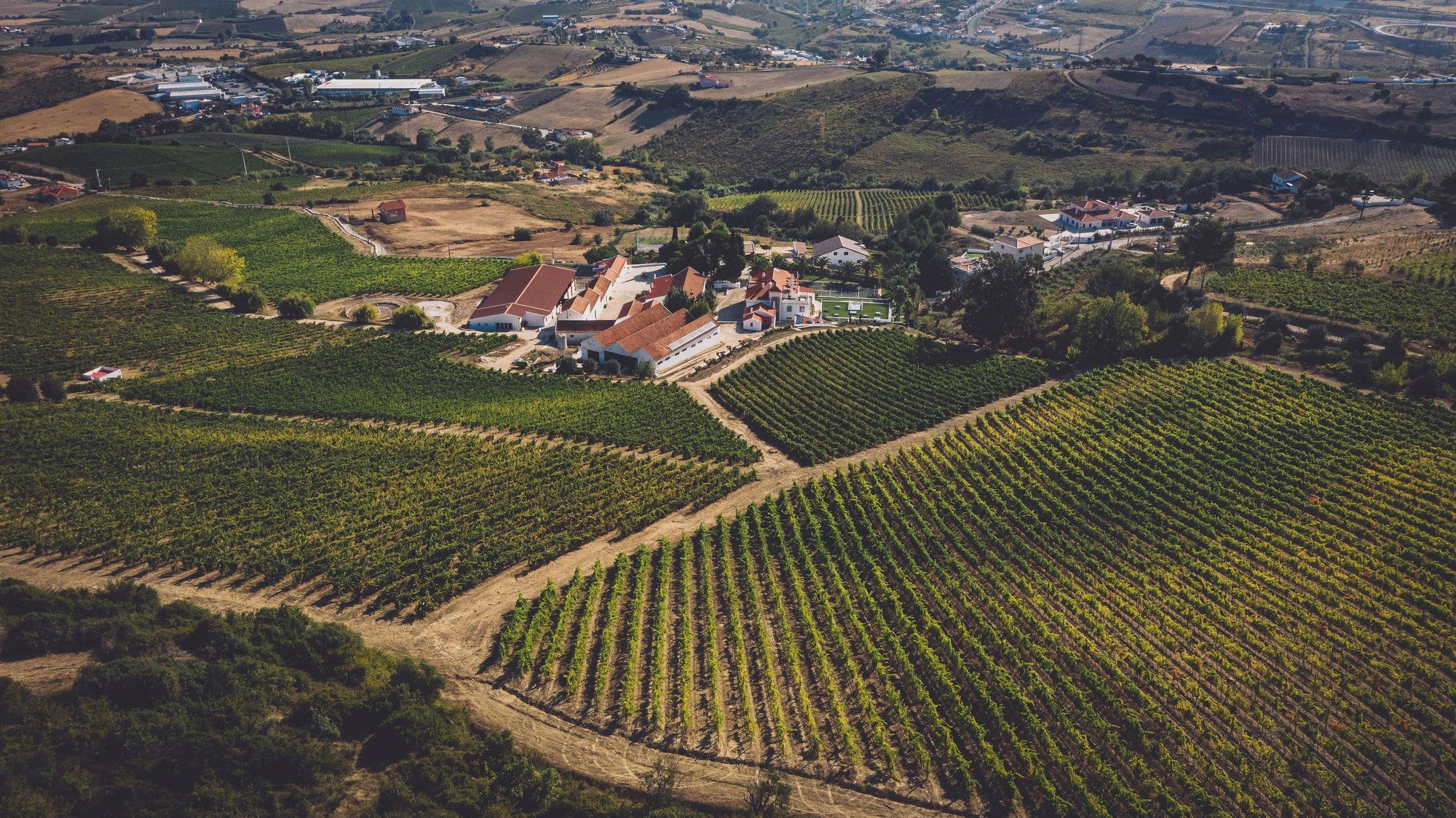 Weingut Johann Schwarz winery in Andau, Austria