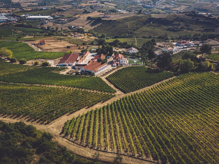 Weingut Johann Schwarz, Andau, Austria