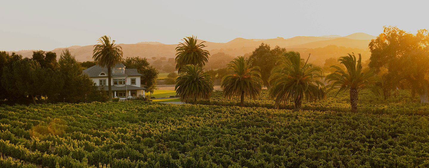 Firestone Vineyard winery in Santa Ynez, United States
