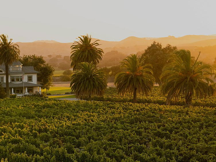 Firestone Vineyard, Santa Ynez, United States