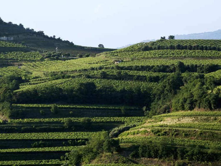 Prà, Monteforte d'Alpone, Italy