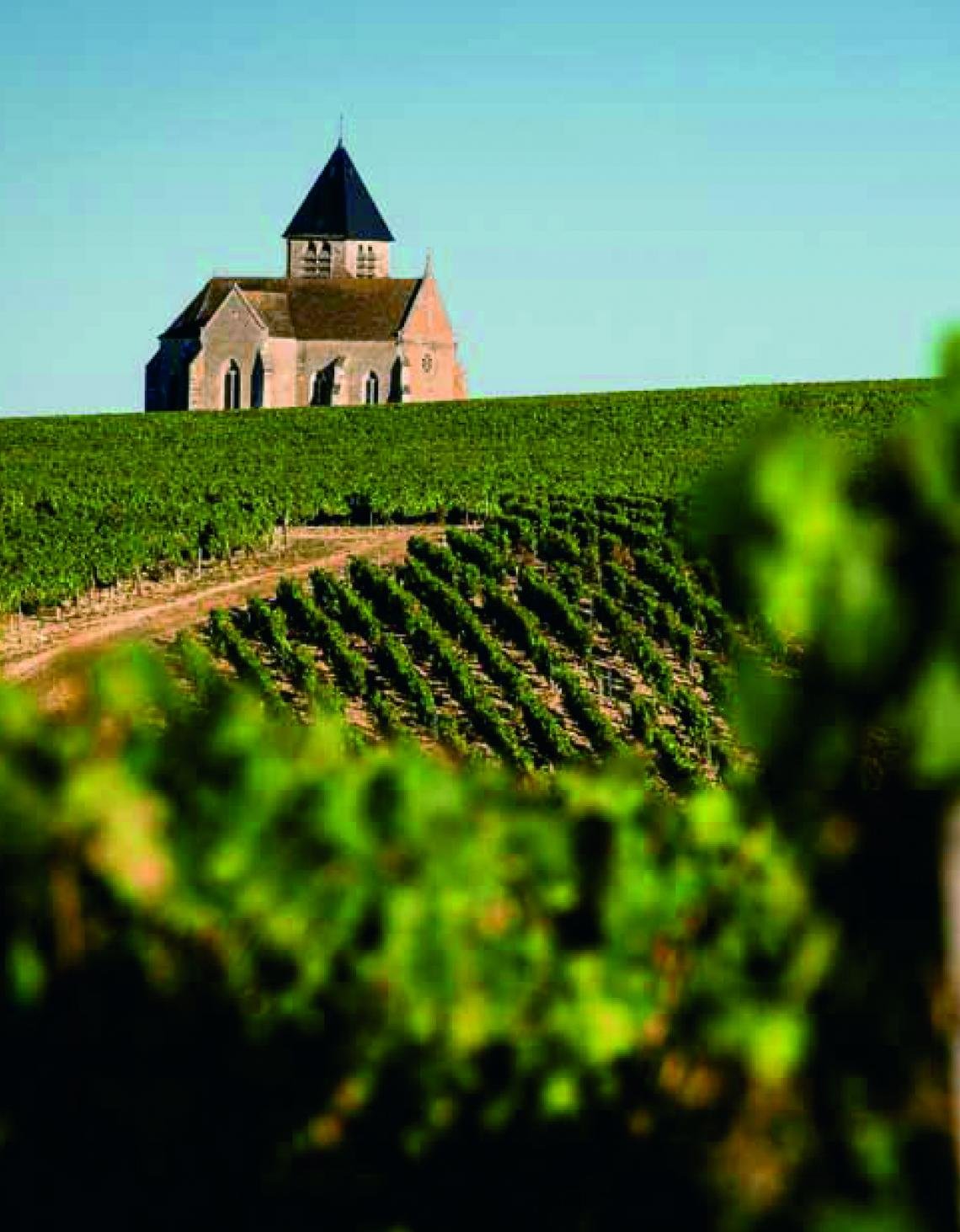 Domaine Jean-Marc Brocard winery in Préhy