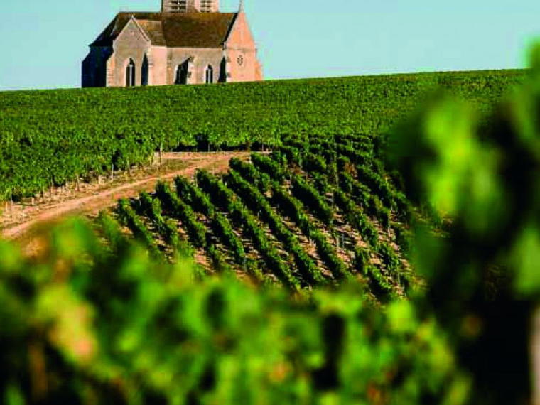 Domaine Jean-Marc Brocard, Préhy, France
