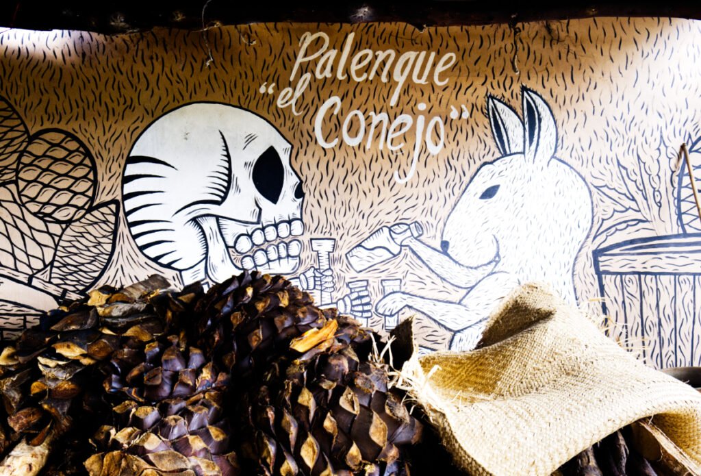 Palenque El Conejo, Winery in Santa Catarina Minas