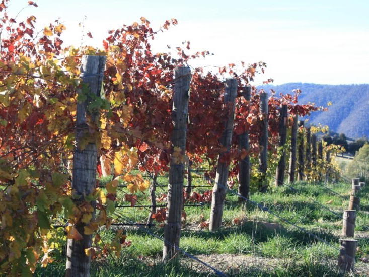 Fighting Gully Road, Beechworth, Australia