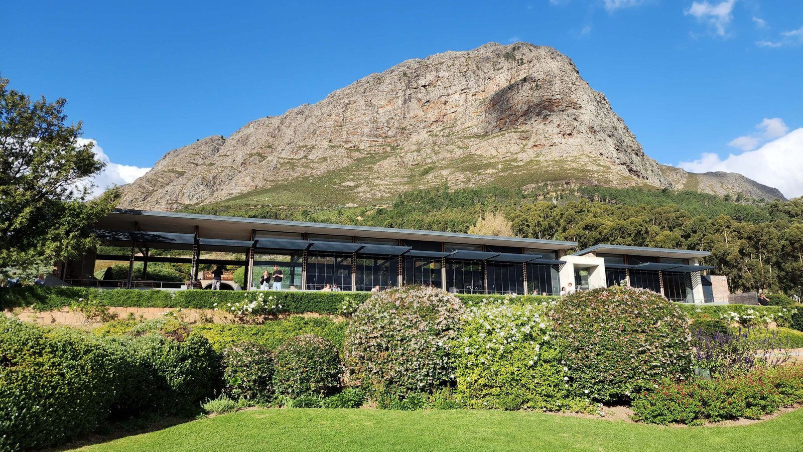 Haute Cabrière winery in Franschhoek, South Africa