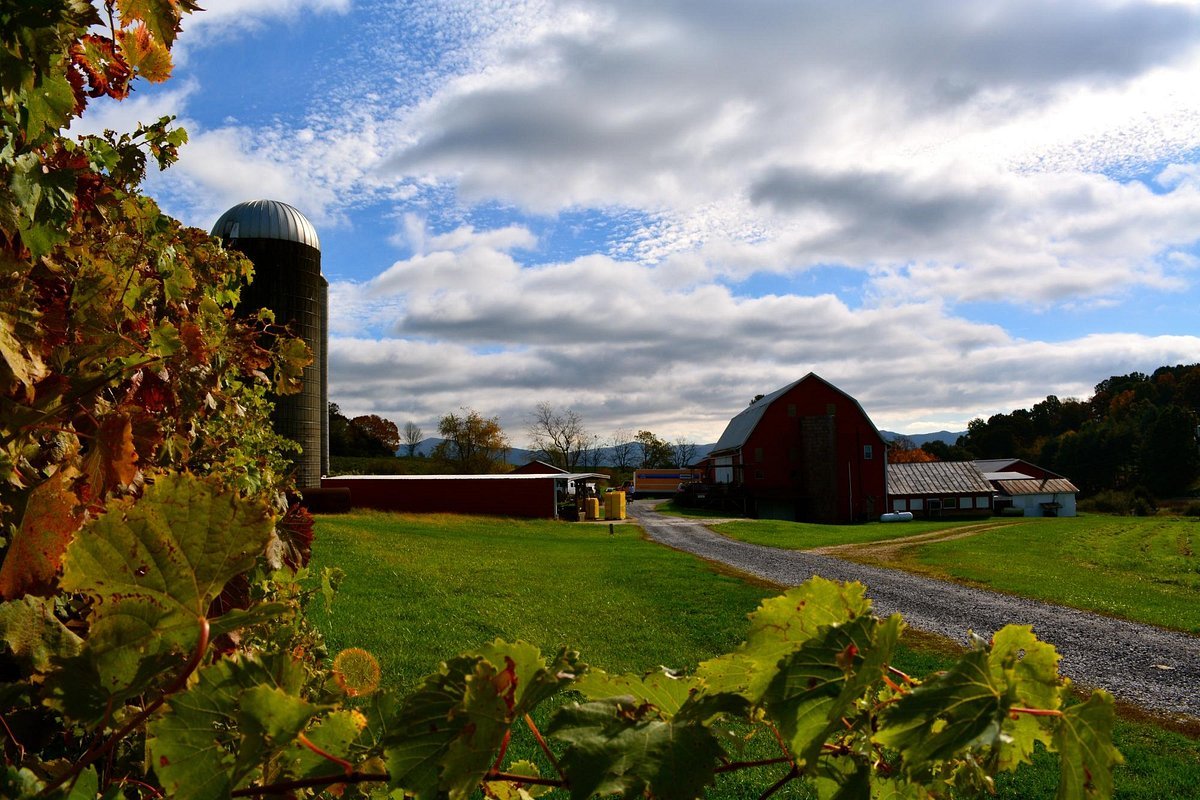 Rockbridge Vineyard & Brewery winery in Raphine, United States