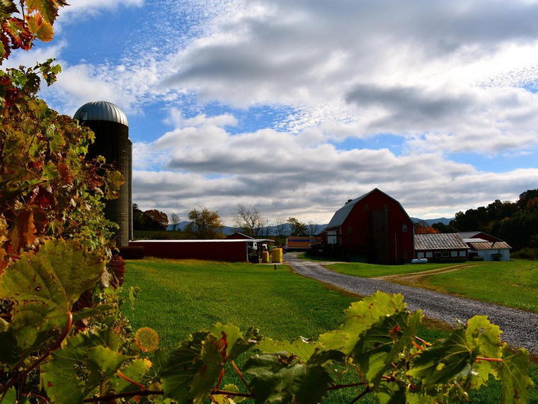 Rockbridge Vineyard & Brewery, Raphine, United States