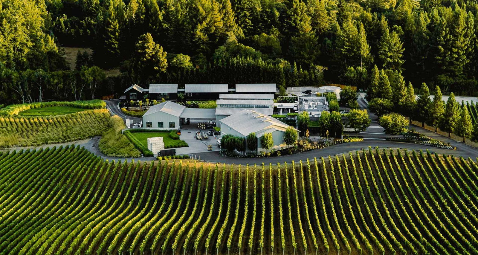 Paul Hobbs Winery