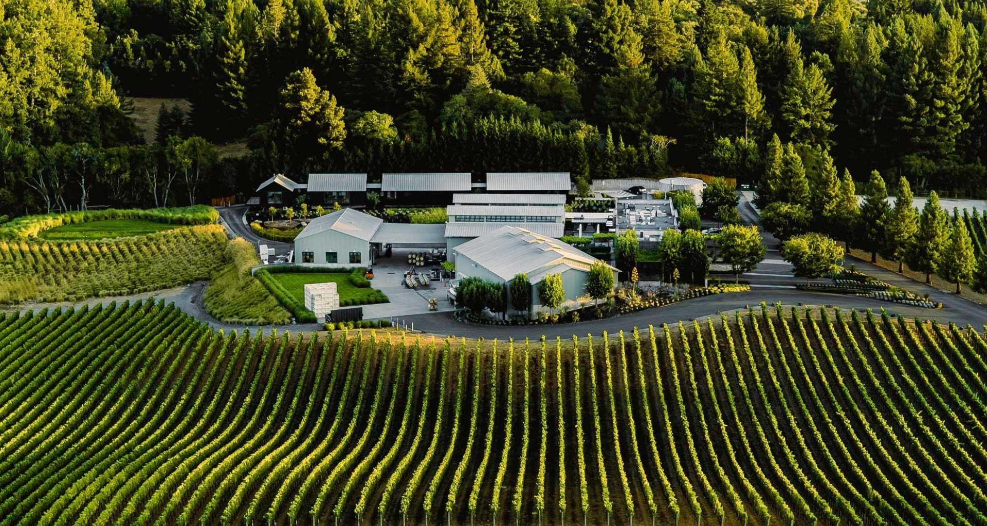 Paul Hobbs Winery