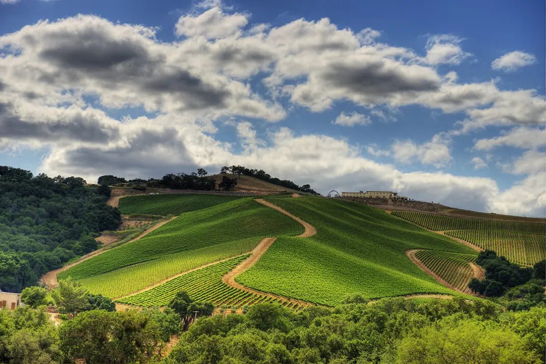 TOP Winery, Paso Robles, United States