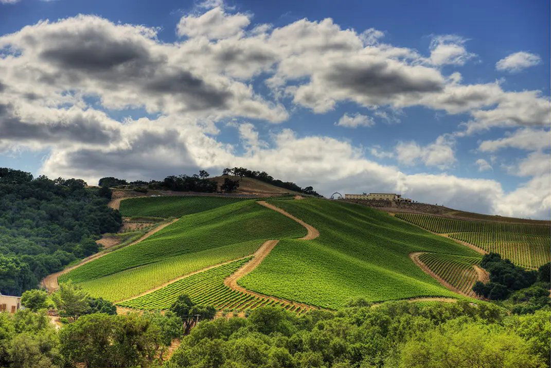 TOP Winery, Winery in Paso Robles