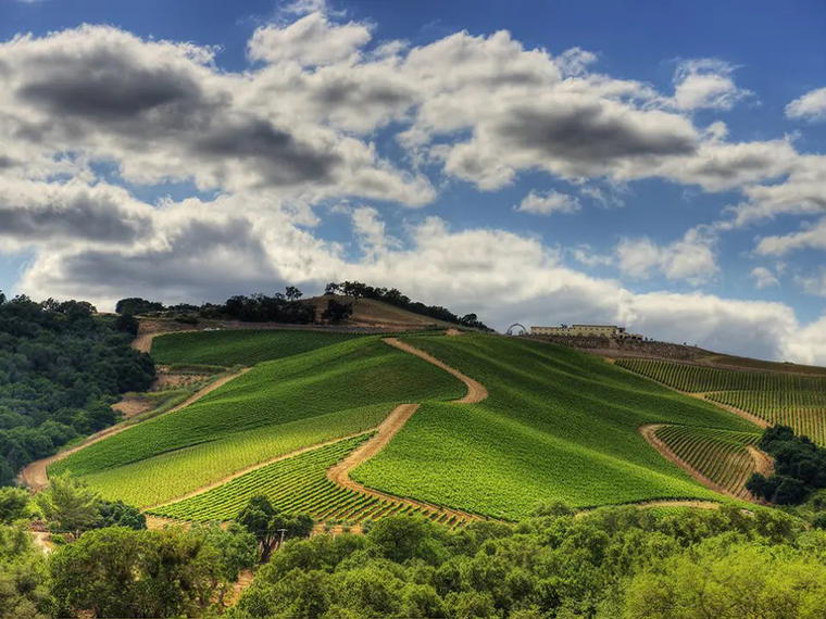 TOP Winery, Paso Robles, United States