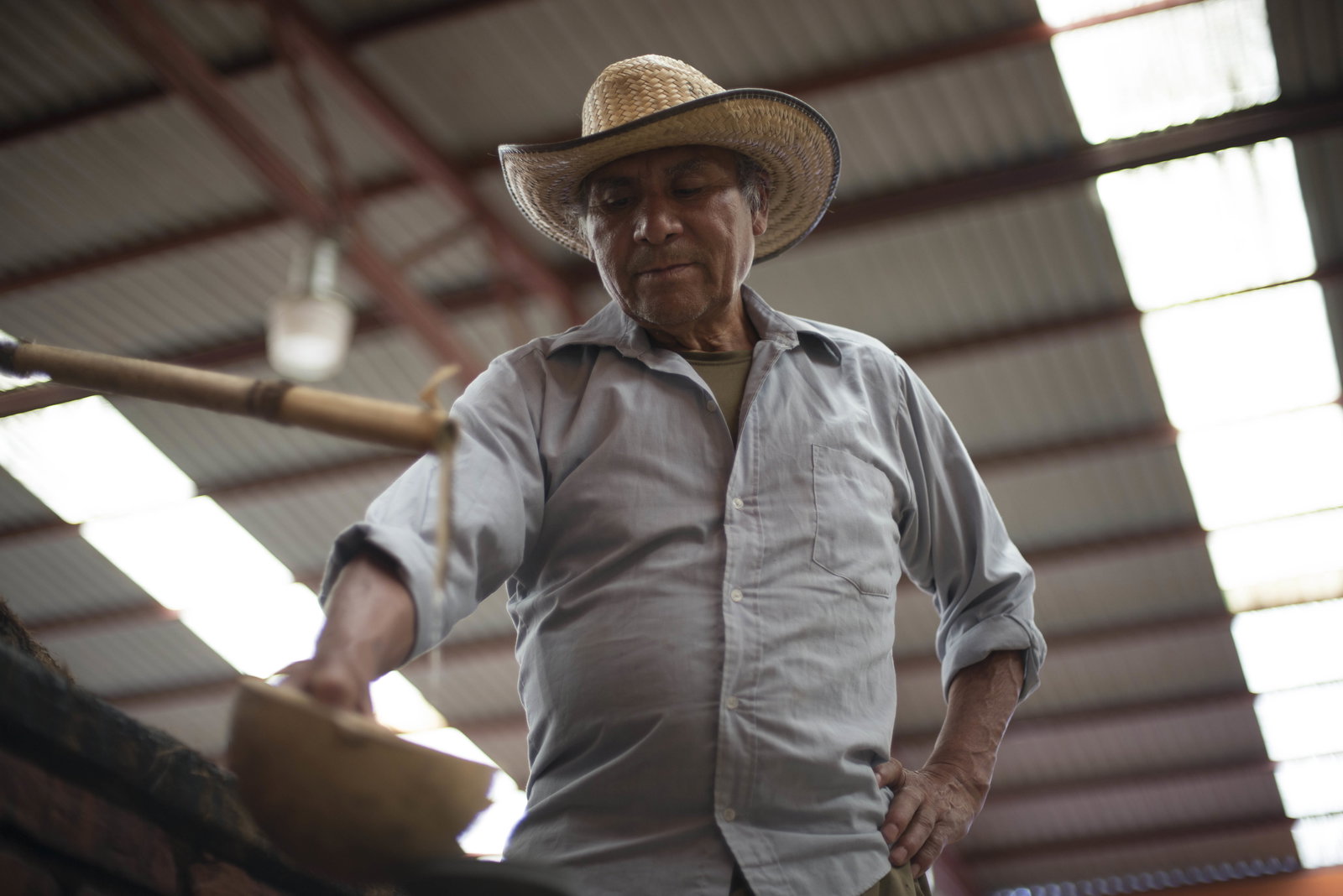 Don Amado (Arellanes family)