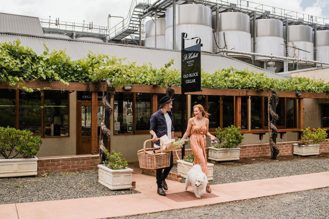 St Hallett, Winery in Barossa Valley