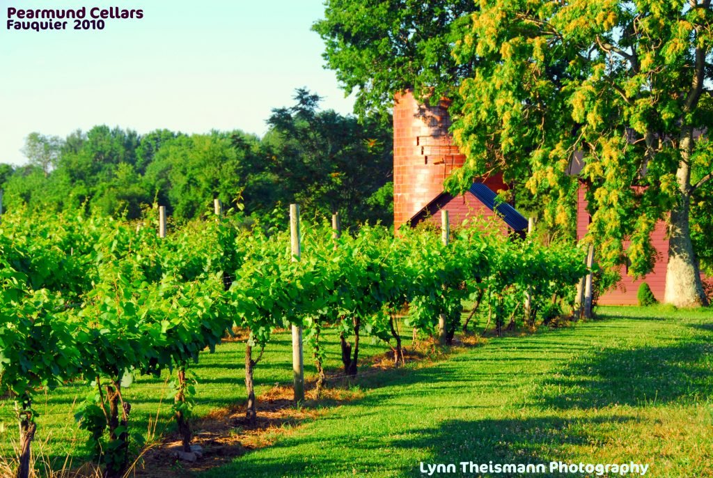 Pearmund Cellars, Winery in Broad Run