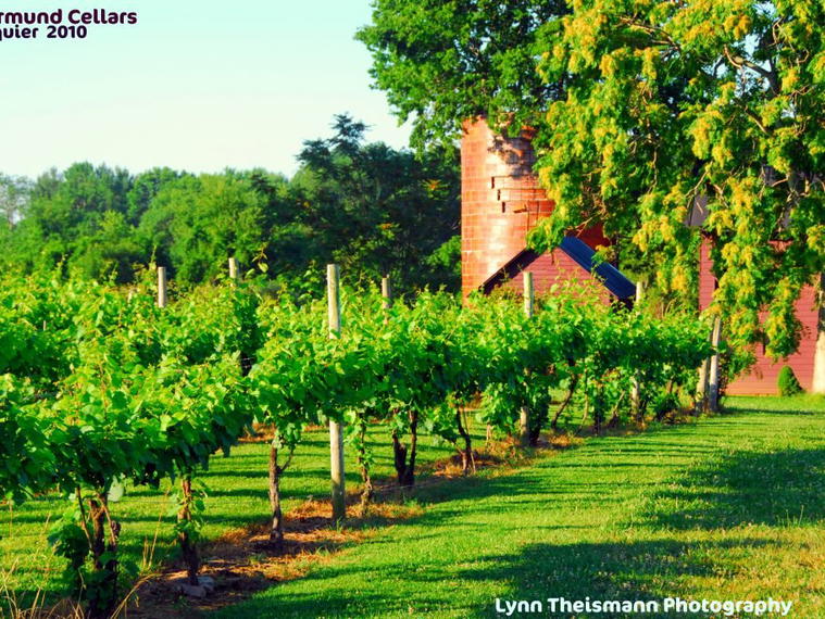 Pearmund Cellars, Broad Run, United States