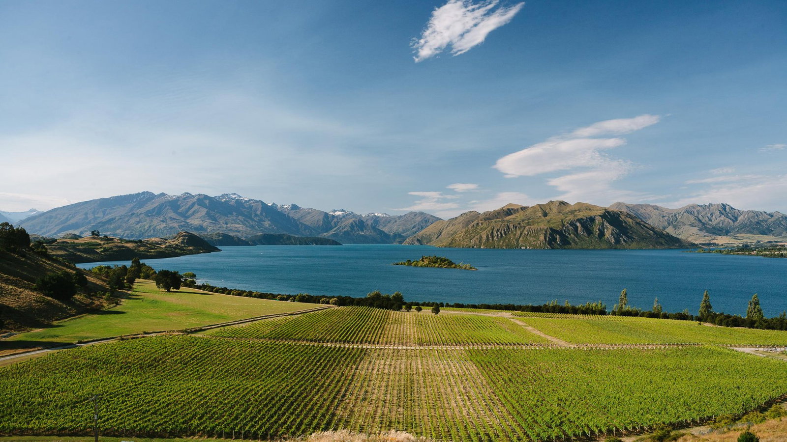 Rippon Vineyard, Wānaka, New Zealand