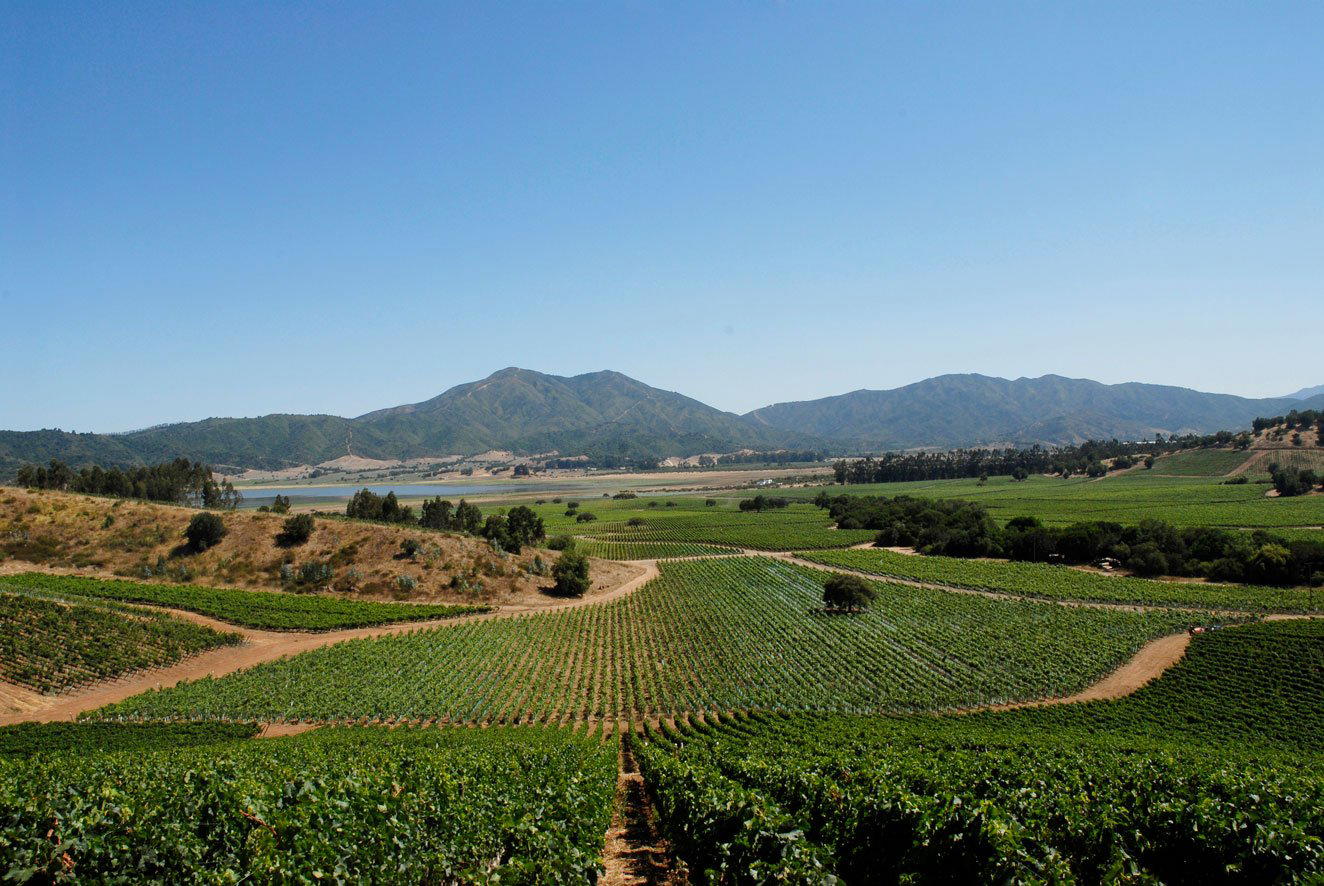 Viña Morandé winery in Casablanca