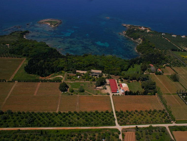 Mercouri Estate, Korakochori, Greece