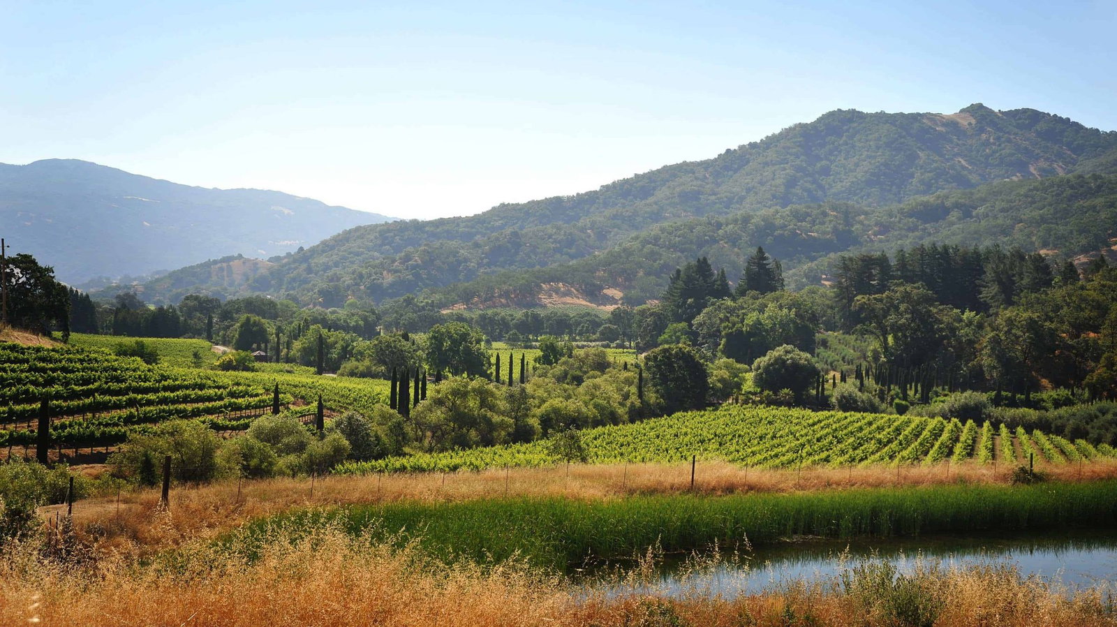Bonterra Vineyards
