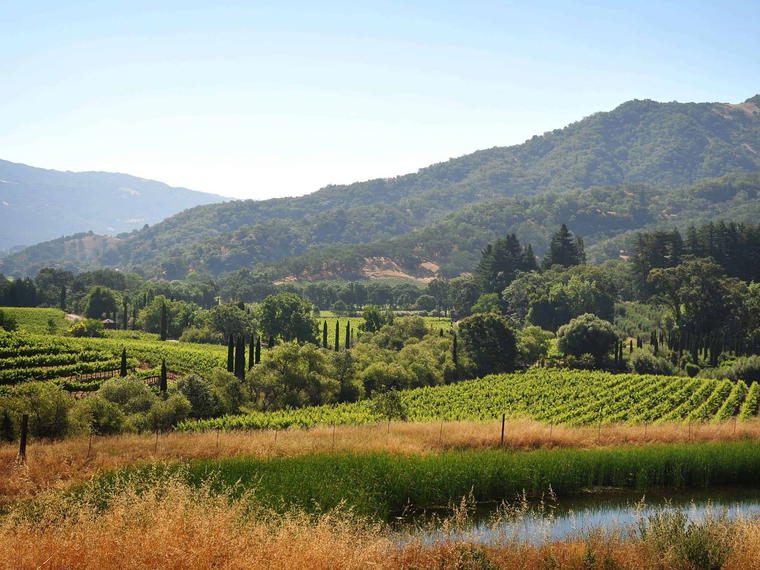 Bonterra Vineyards, Hopland, United States