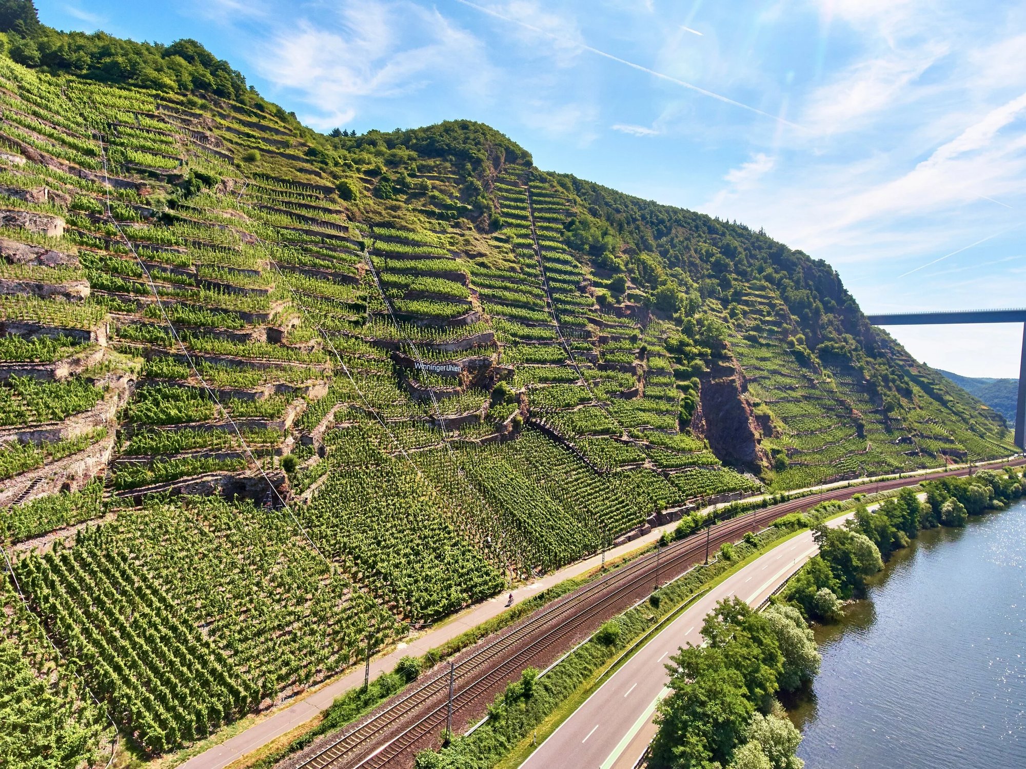 Weingut Heymann-Löwenstein winery in Winningen, Germany