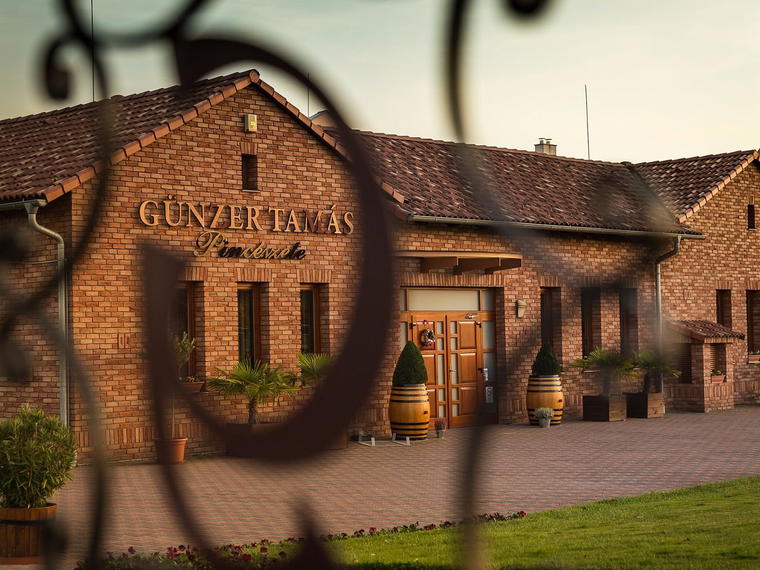 Günzer Tamás Winery, Villány, Hungary