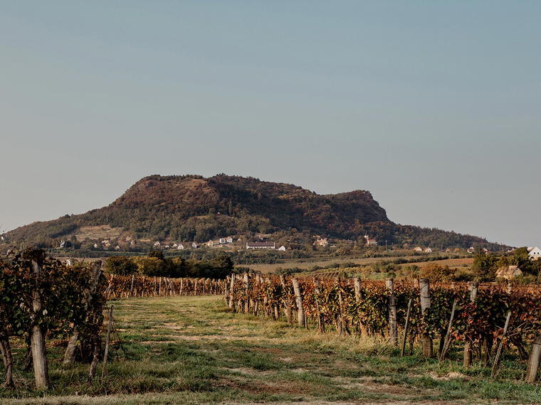 Gilvesy Winery, Hegymagas, Hungary