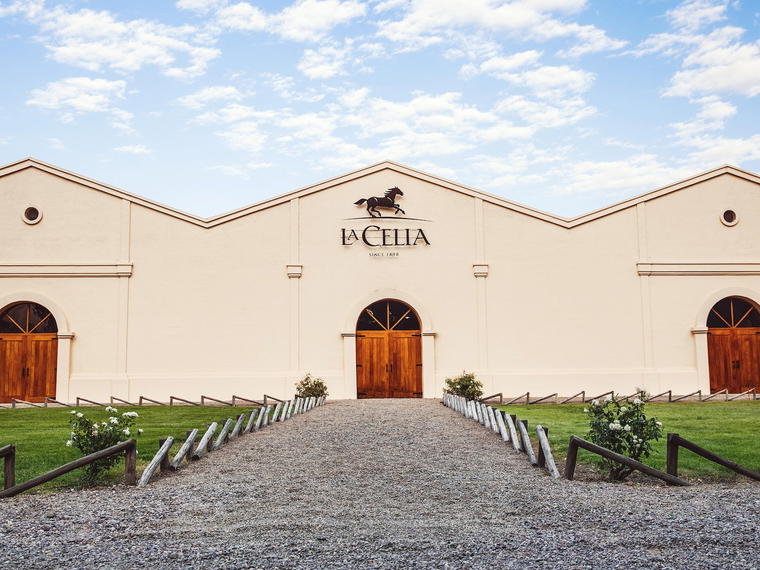 Finca La Celia, Tunuyán, Argentina