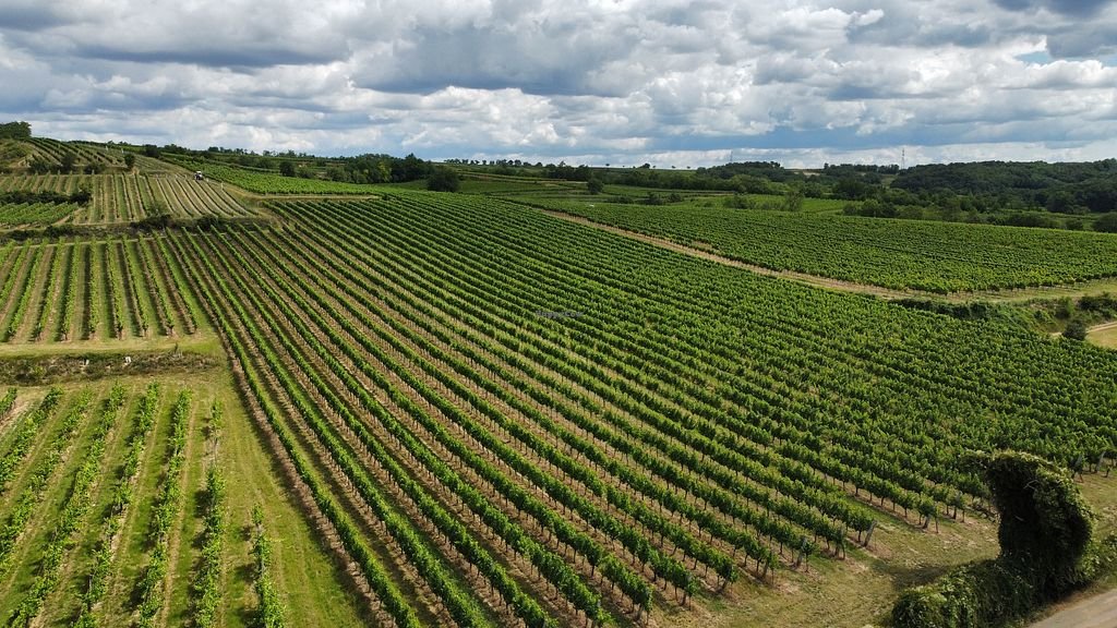 Weingut Setzer