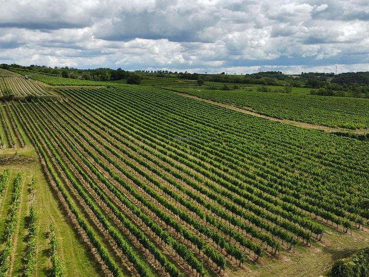 Weingut Setzer, Hohenwarth, Austria