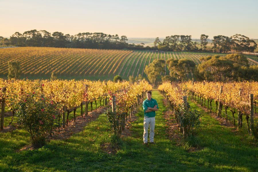 Wine by Farr, Winery in Geelong