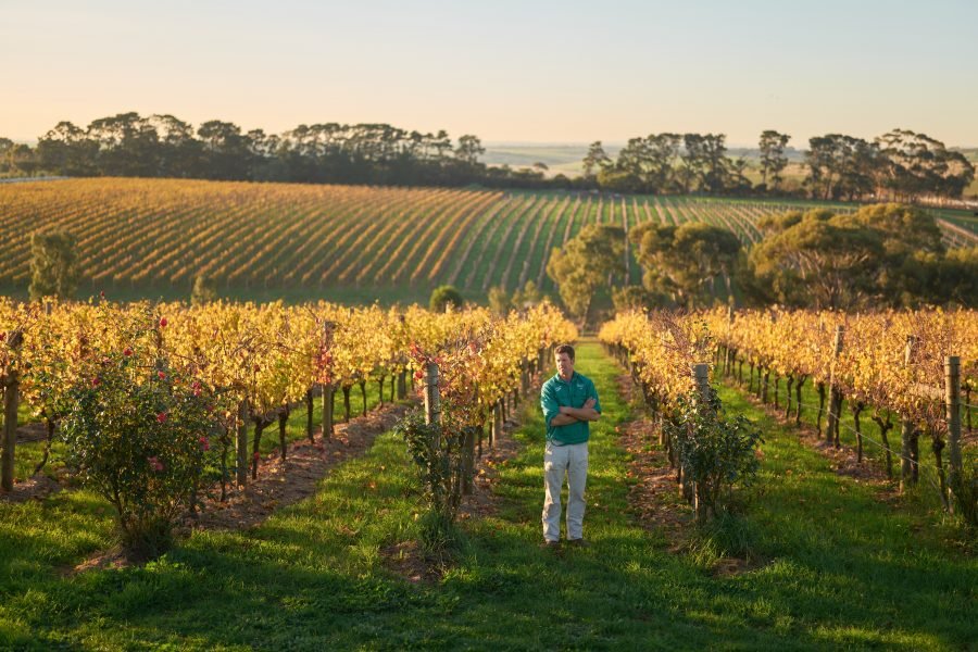 Wine by Farr winery in Geelong, Australia